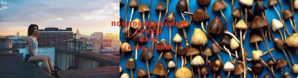 круглые Вязники