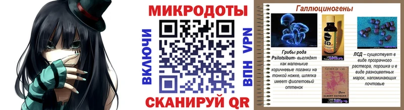 Галлюциногенные грибы Psilocybine cubensis  Купить где  Чёрмоз 